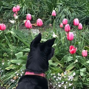 Meet your Posher, Kate